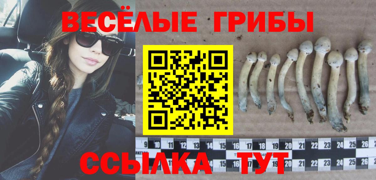 Топки  Галлюциногенные грибы Cubensis  Псилоцибиновые грибы мухоморы  Вход с VPN 